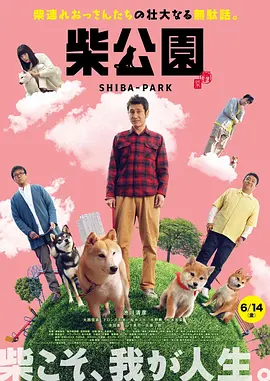 中文字幕在线资源